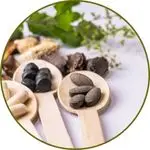 Ayurvedic Approach to Immunity Boosting thumbnail image