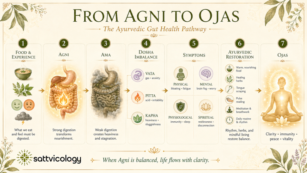 Ayurveda gut health