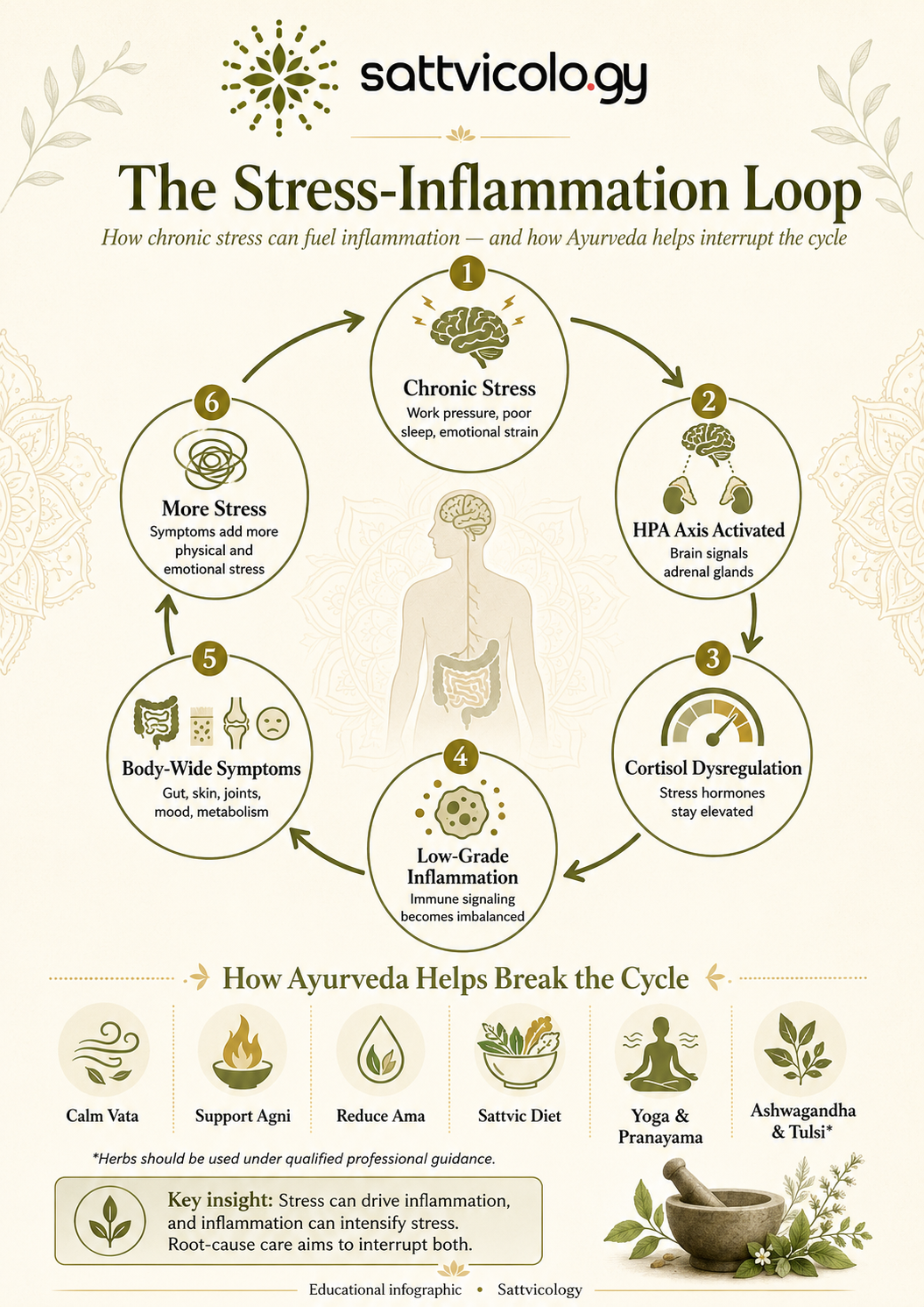 chronic stress and inflammation
