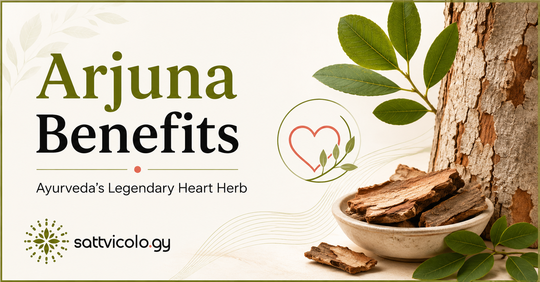 Arjuna Benefits