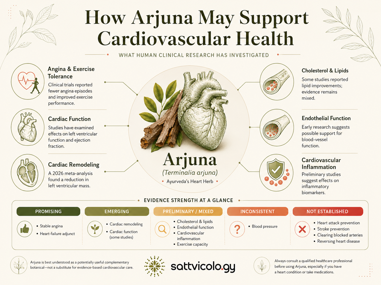 Arjuna Benefits