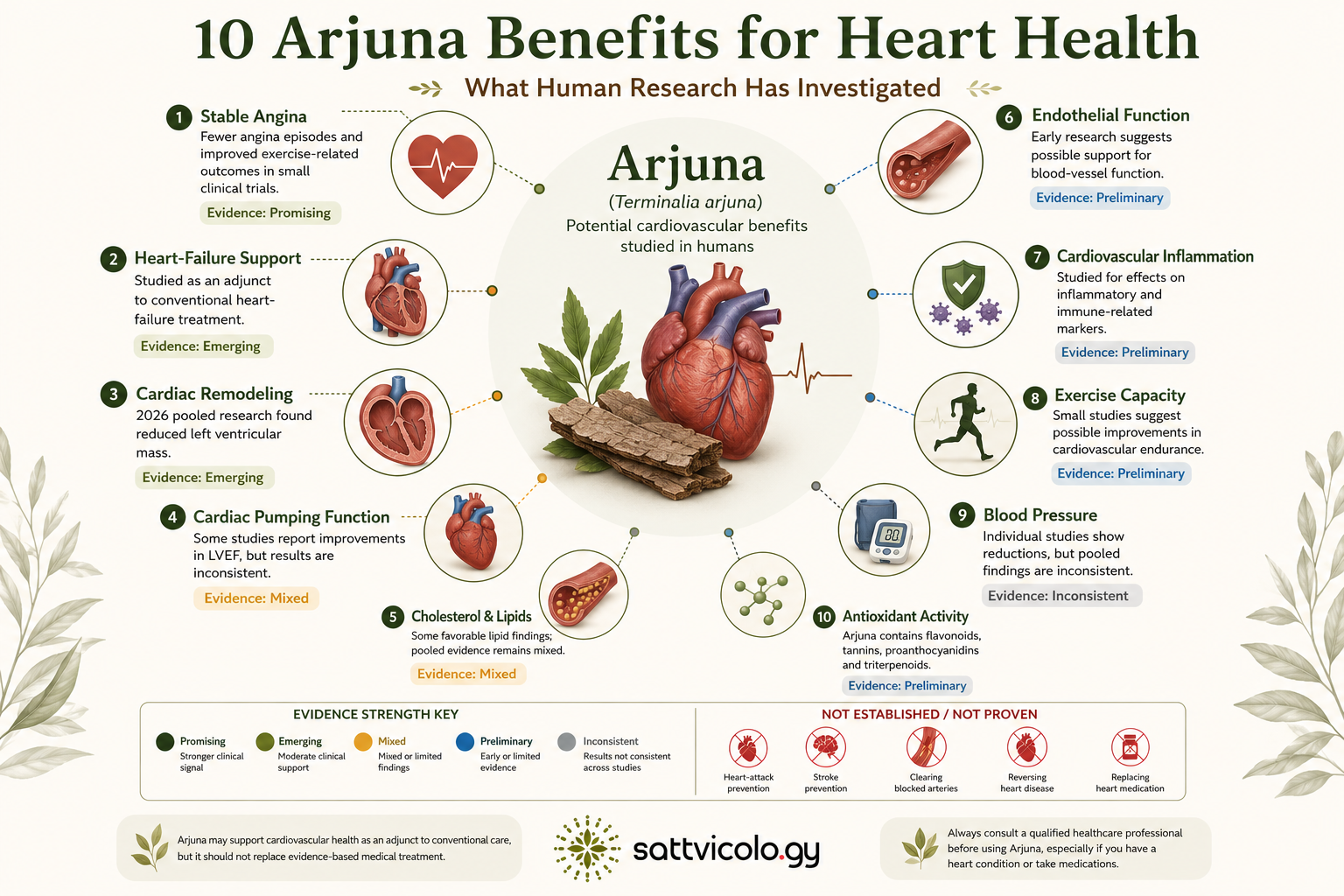 Arjuna Benefits