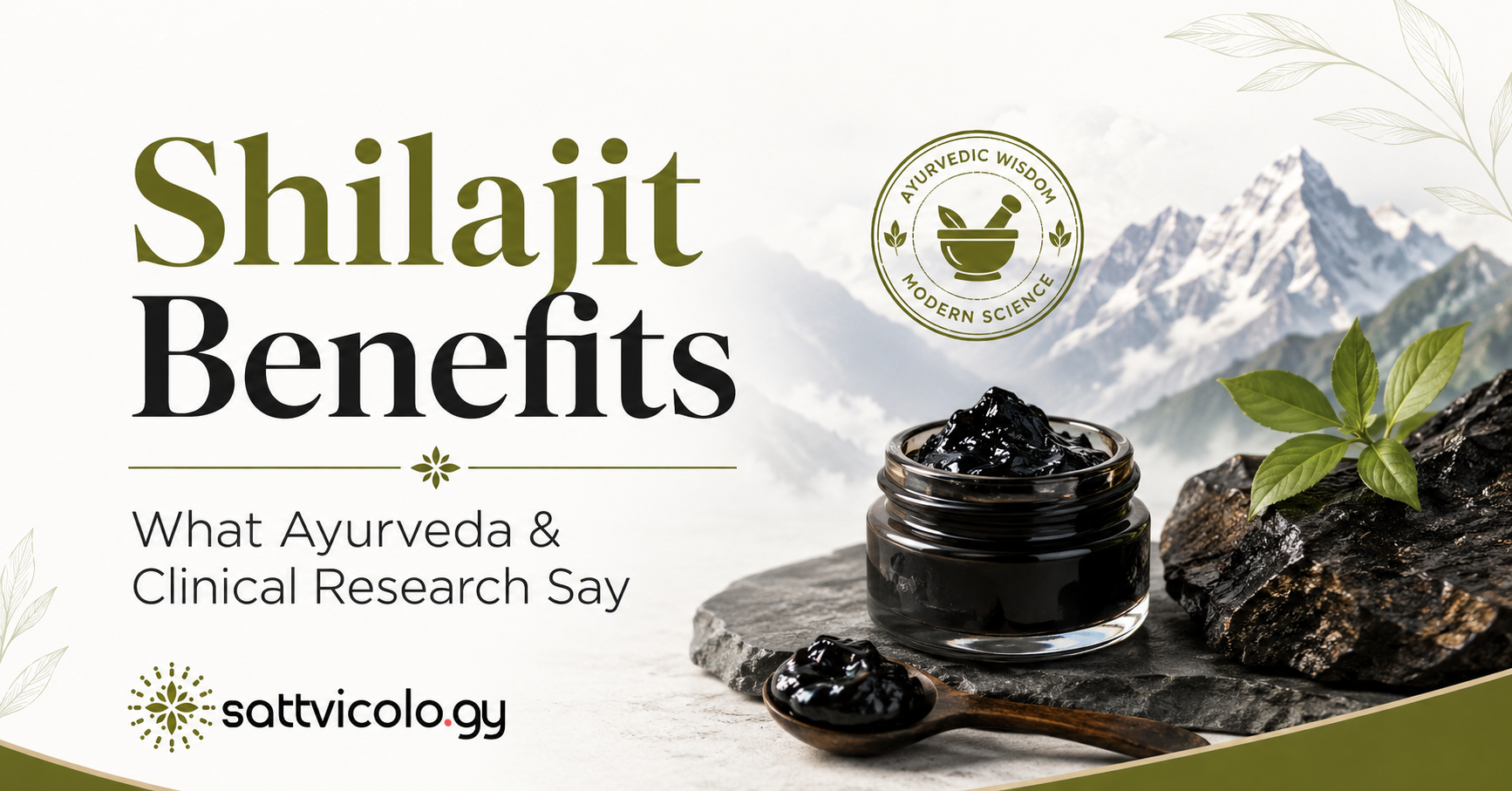 Shilajit benefits