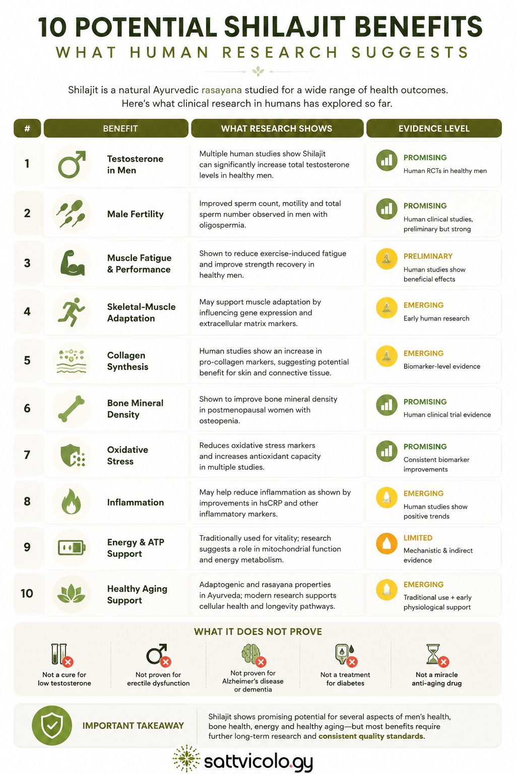 Shilajit benefits