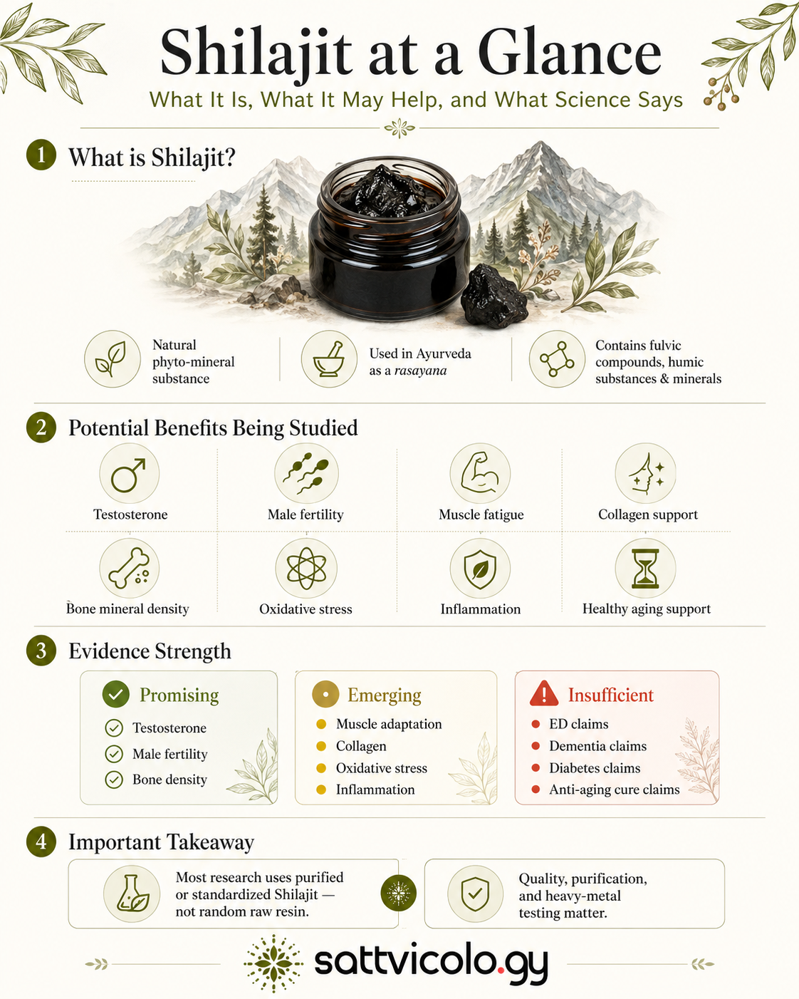Shilajit benefits