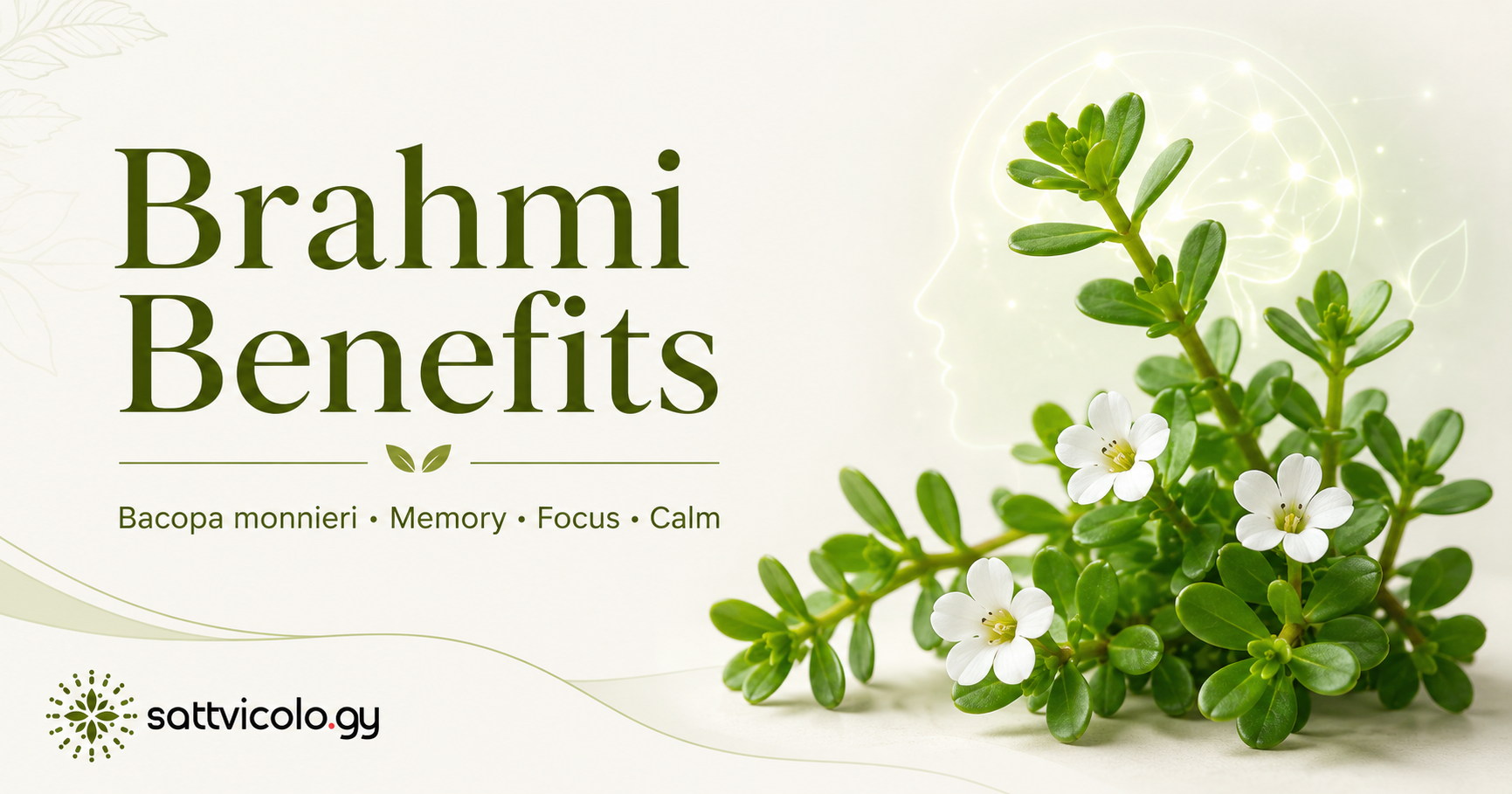 Brahmi benefits