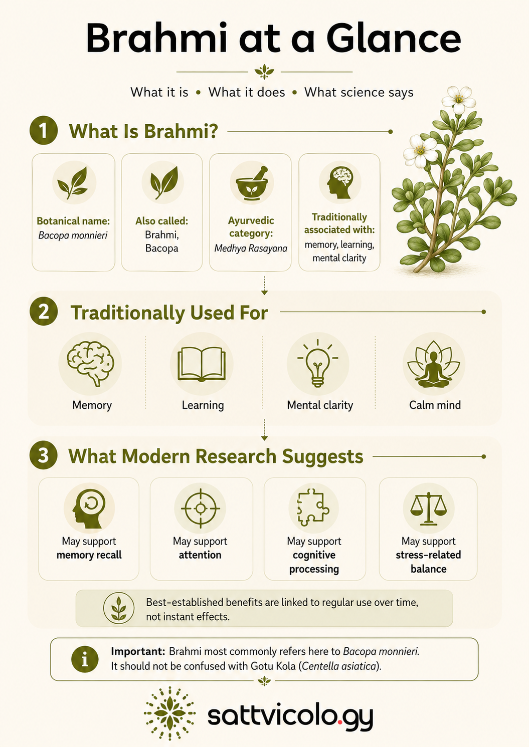 Brahmi benefits