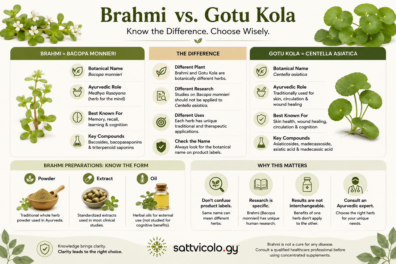 Brahmi benefits