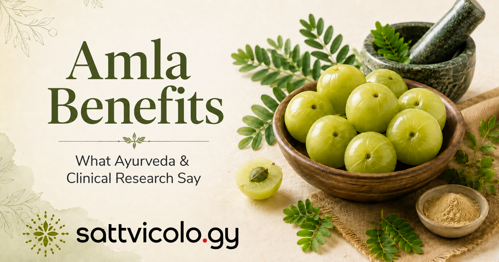 Amla benefits