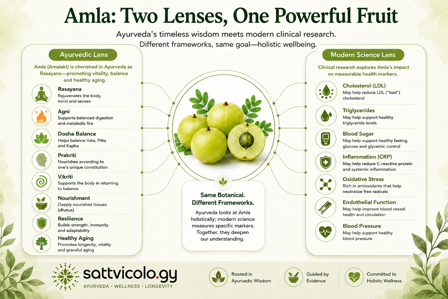 Amla benefits